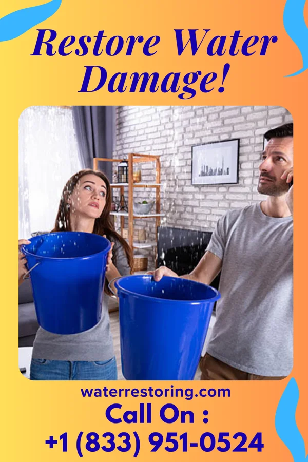 water restoration Royal Water Damage Network Como