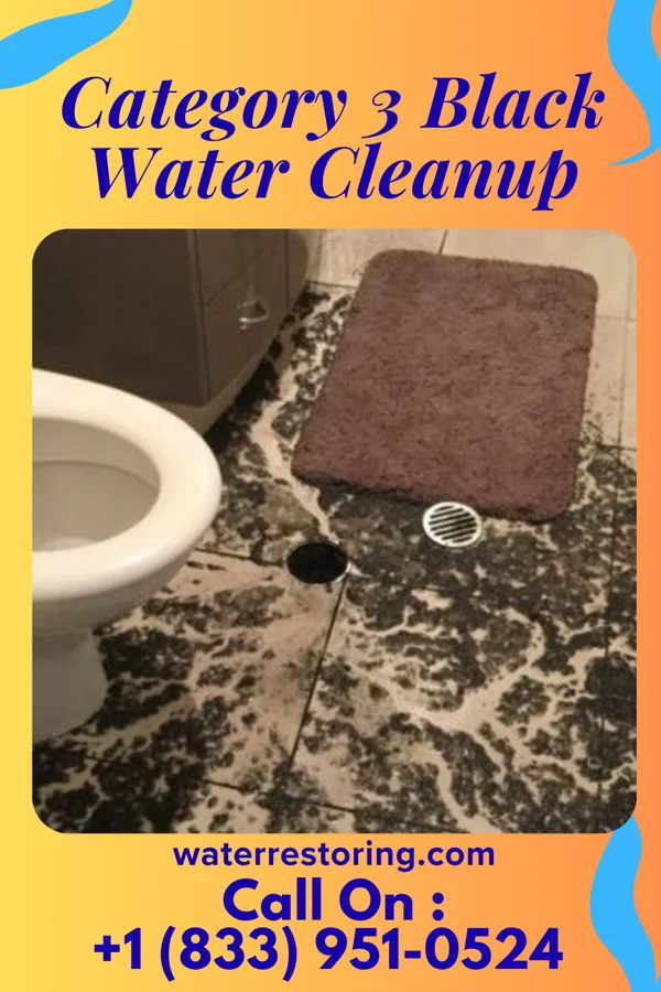 Category 3 Black Water Cleanup in Como, WI