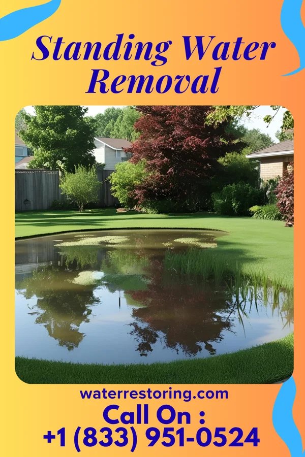 Standing Water Removal in Como, WI